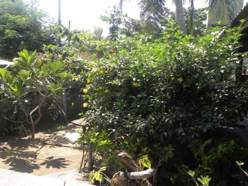 Malino Homestay Gili Trawangan Exteriör bild